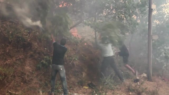 Algérie: plus de 40 morts dans les incendies qui ravagent le nord