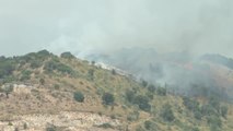 Les incendies enfin maîtrisés en Grèce, l'Europe du Sud reste sur les dents