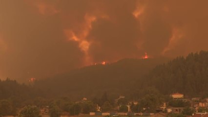 Grèce: les pompiers livrent leur 7e jour de bataille contre le brasier de l'île d'Eubée