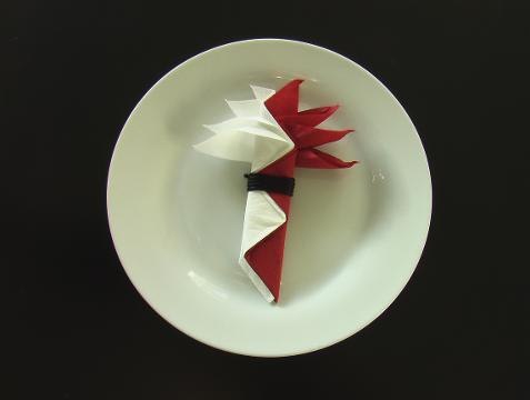 Comment plier une serviette en forme d'oiseau du paradis ?