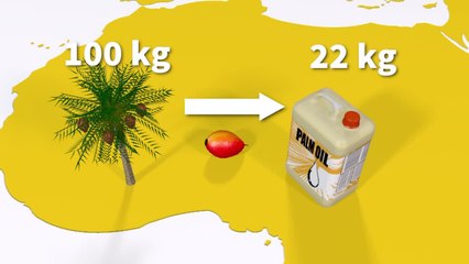 Huile de palme: Greenpeace attaque l'autorisation d'exploitation d'une raffinerie de Total
