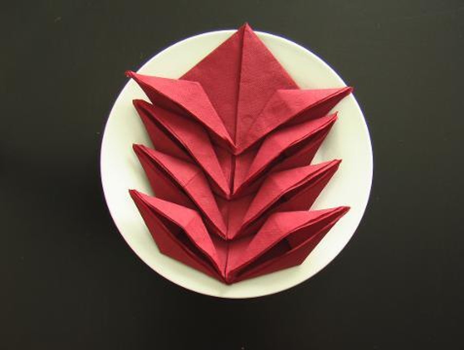 Comment plier une serviette en forme de vriesea ?