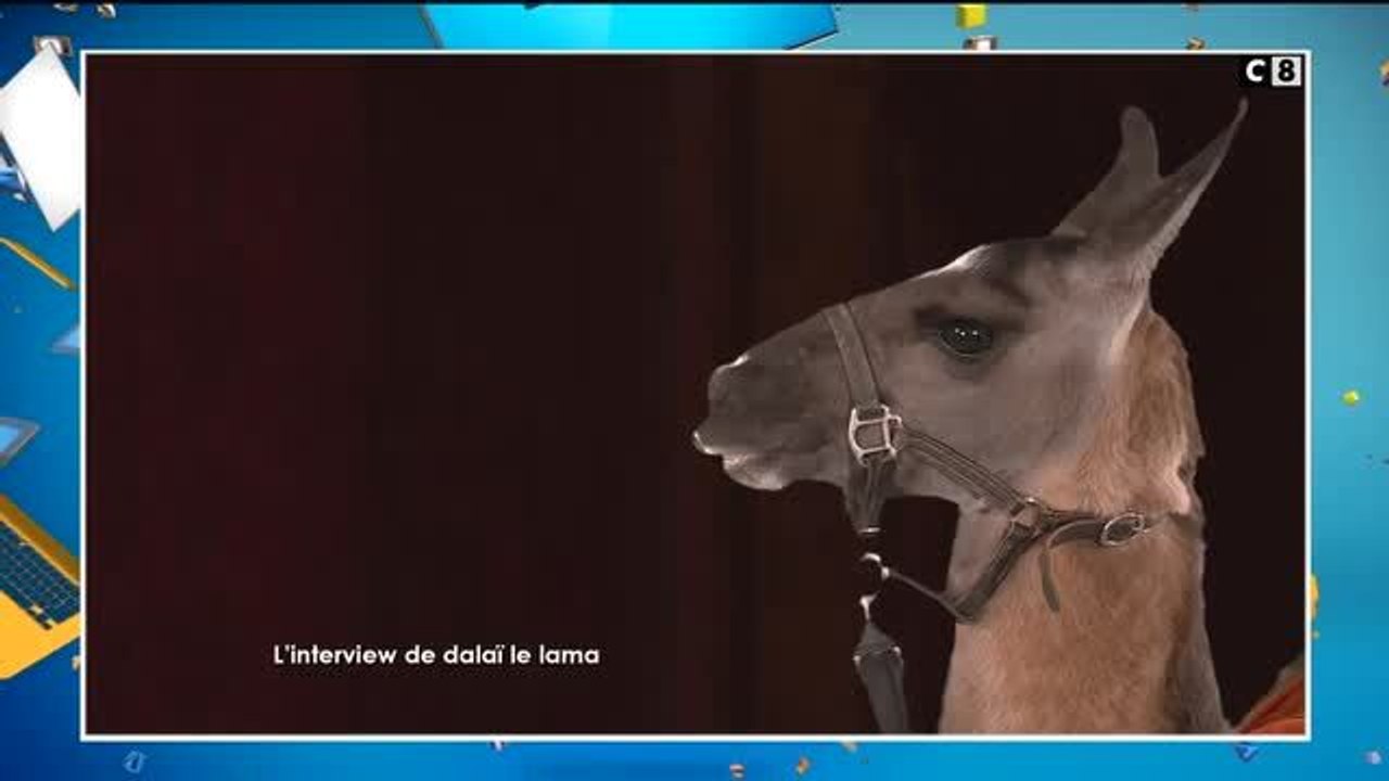 Cyril Hanouna se moque de Yann Barthès dans Touche pas à mon poste