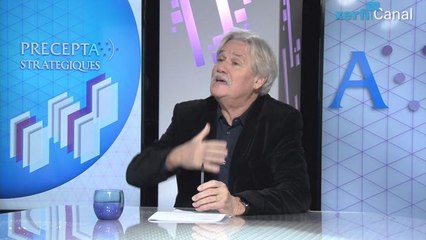 Vincent De Gaulejac - Un système qui rend fou : le capitalisme paradoxant - 1