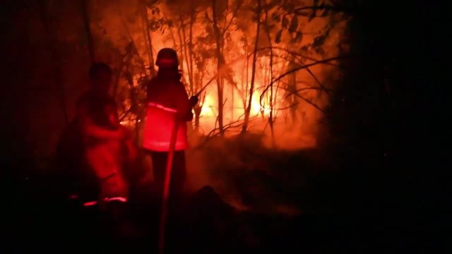 Indonésie: les pompiers luttent sans relâche contre les feux