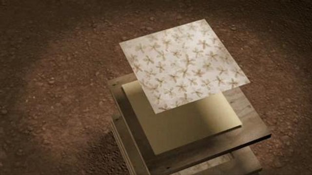 Cosmétiques : Comment fabrique-t-on un parfum ?