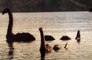 Dos cazadores afirman haber visto al monstruo del lago Ness