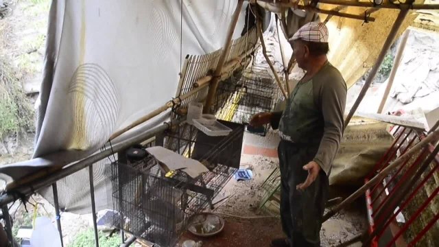 Espagne : cinq morts en deux jours dans des inondations