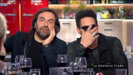 Les jurés de la Nouvelle star descendent Amir, le candidat de l'Eurovision