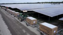 La plus grande ferme solaire de France, près de Bordeaux (Capital)