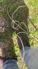 Electric Contraption Brings Earthworms to Surface