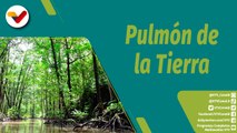 Punto Verde | Los Bosques: riqueza natural del planeta