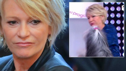 VOICI Sophie Davant léchée au visage par un chien, elle bascule en direct