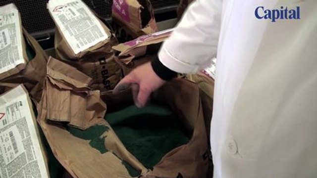 Reportage aux tanneries Haas, Longchamp (Capital)