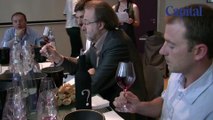 Foires aux vins 2013 : dégustation à l'aveugle par nos experts