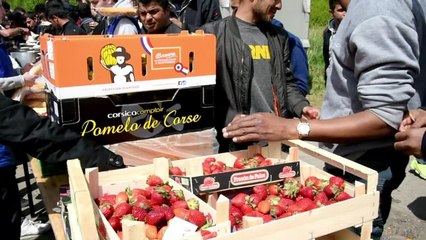 Distribution de repas aux migrants à Grande-Synthe