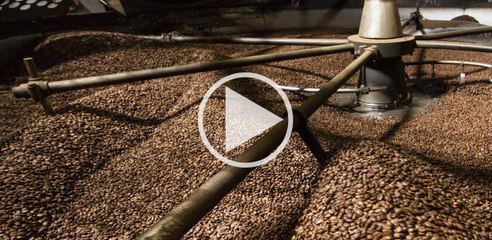 Découvrez l'usine normande de Segafredo C308