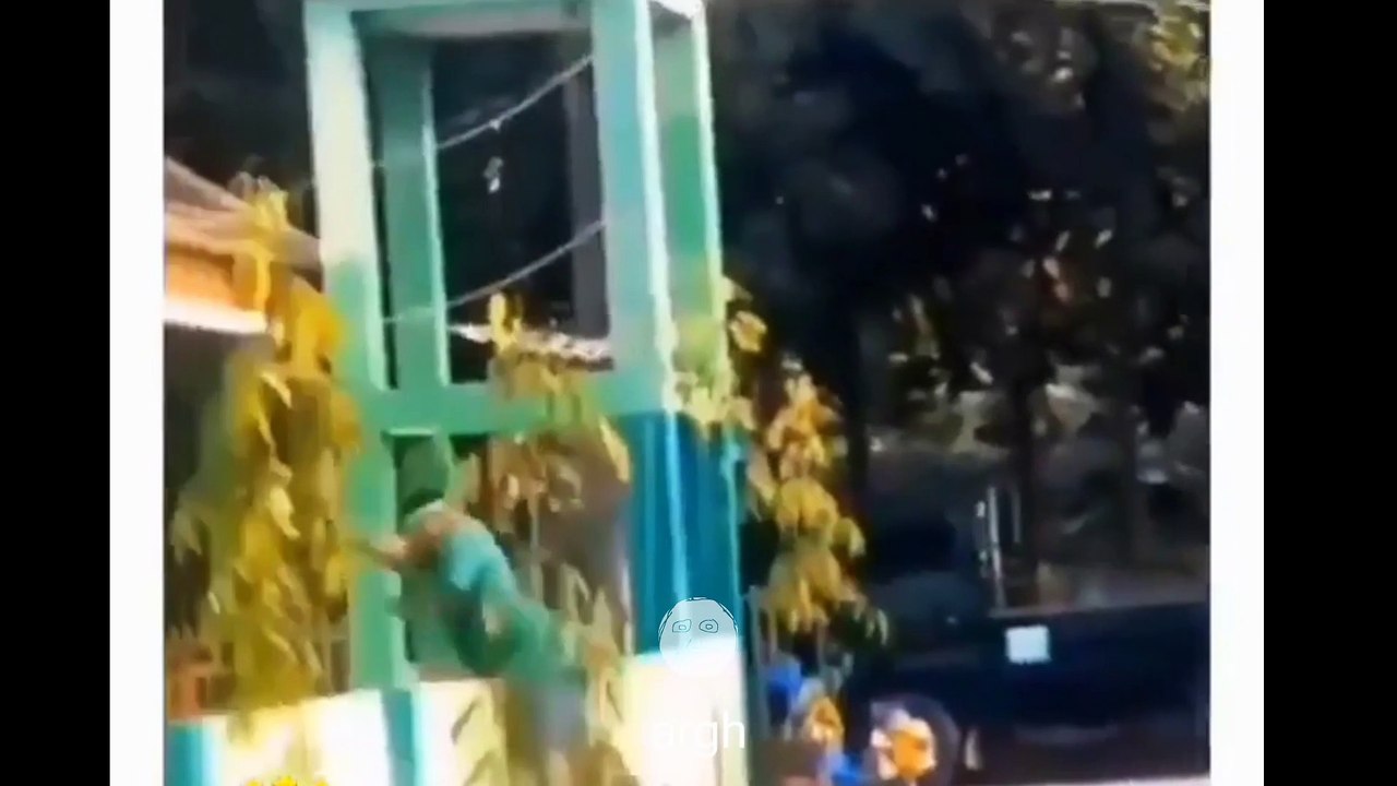 Kompilasi Video Lucu 9 April 2022