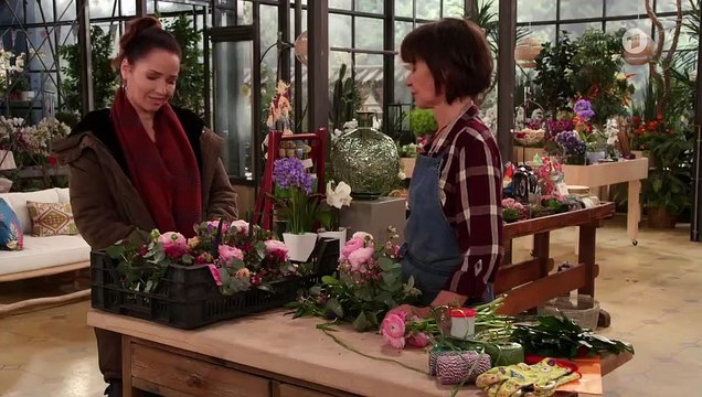 Rote Rosen 3538 folge