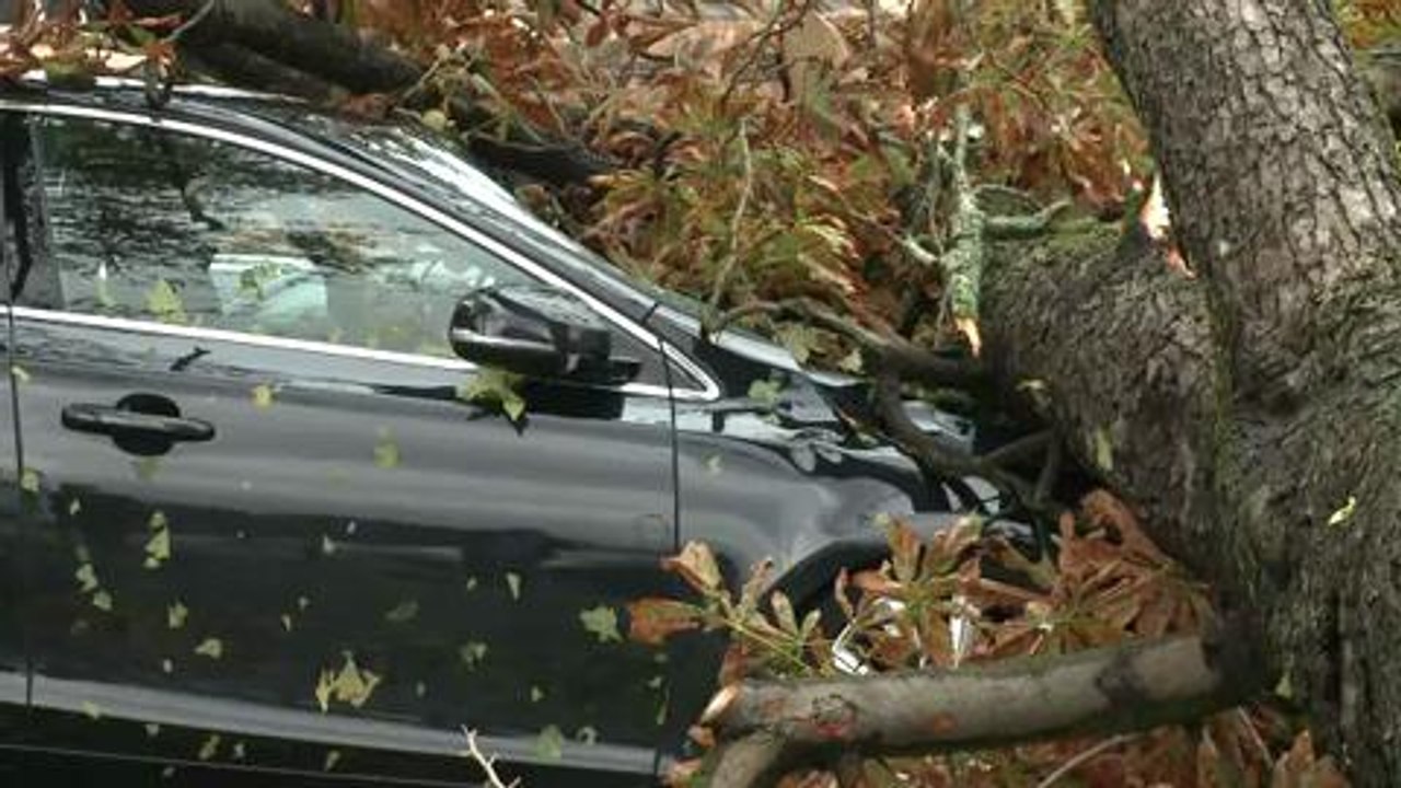 Orages en Midi-Pyrénées: un mort, rentrée reportée à Montauban