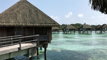 Découvrez le Club Med des Maldives