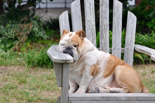 AMI - Croissance, déficit, inflation... La grande Histoire des falsifications statistiques - Janvier 2018