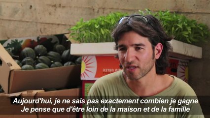 Israël: de la high-tech aux légumes bio au pays des startups