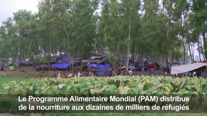 Birmanie: les Rohingyas continuent de fuir vers le Bangladesh