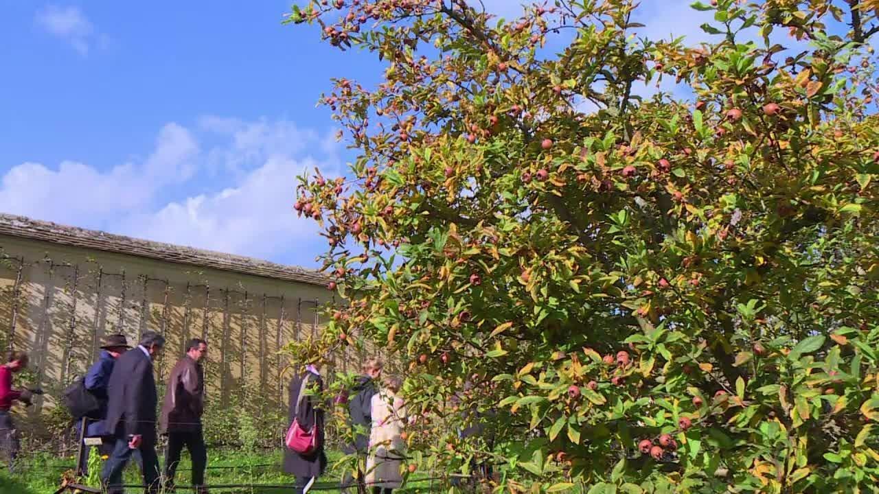 A Versailles, les mécènes au chevet du potager du roi