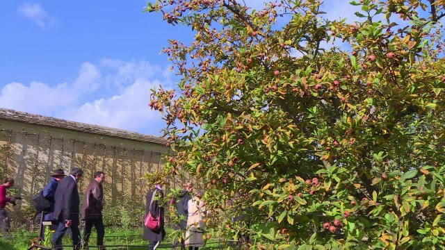 A Versailles, les mécènes au chevet du potager du roi