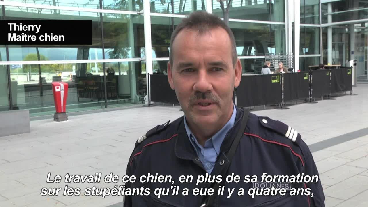 Des chiens pour détecter les billets de banque non déclarés
