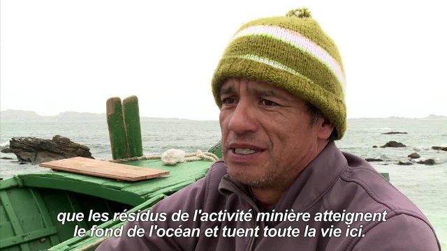 Au Chili, les manchots l'emportent contre un projet minier