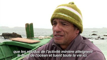 Au Chili, les manchots l'emportent contre un projet minier