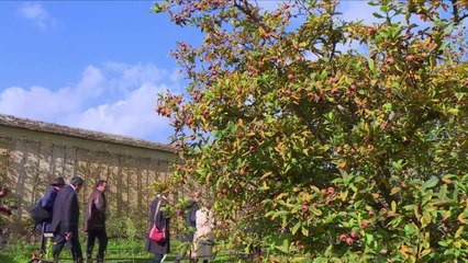 A Versailles, le Potager du Roi cherche des mécènes