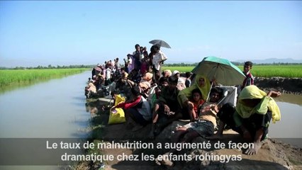 Les réfugiés rohingyas continuent d'affluer au Bangladesh