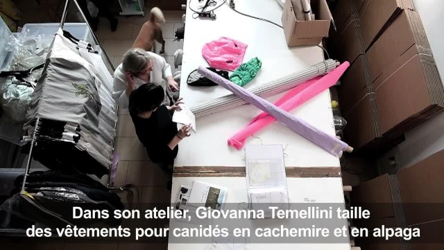 Milan, capitale de l'élégance pour les... chiens