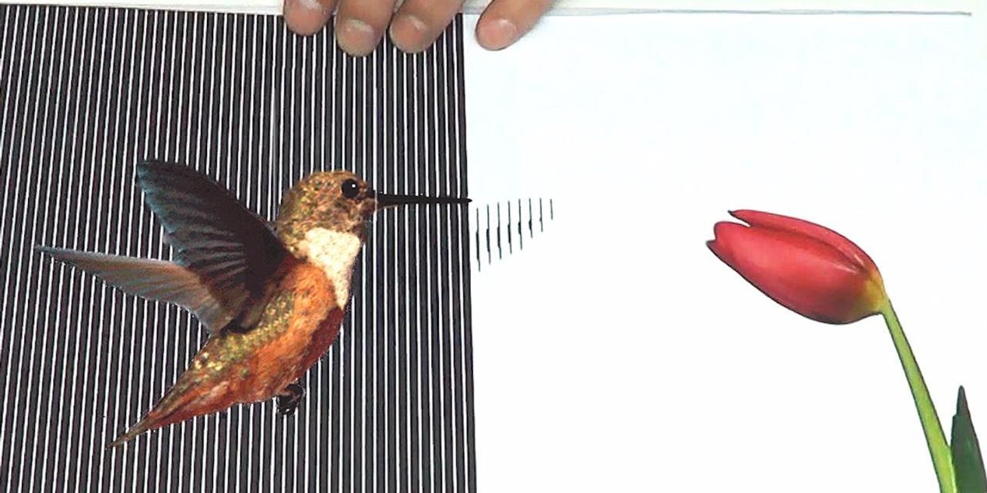 Ce film transparent en plastique donne l’impression que les dessins qu'il recouvre sont en mouvement