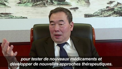 Premier clonage de primates avec la technique de Dolly