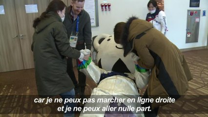 JO-2018: Vis ma vie de mascotte olympique