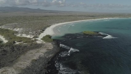 Les Galapagos, un paradis qui se protège du tourisme de masse