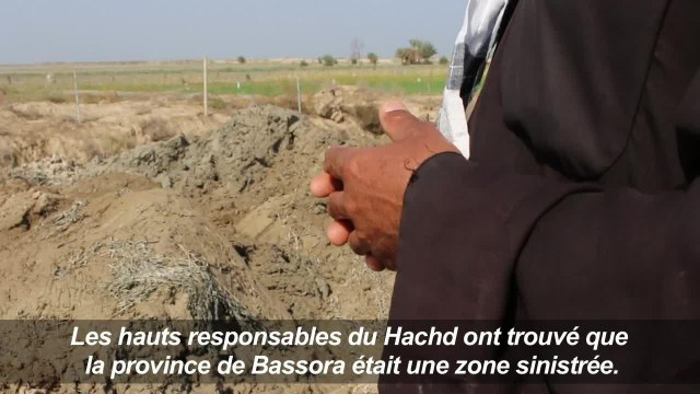 Irak: d'anciens combattants oeuvrent pour la reconstruction