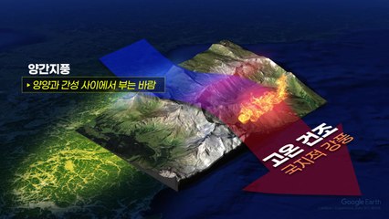 [날씨] 고온에 양간지풍 겹친 영동, '대형산불주의보' / YTN