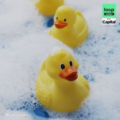 Alerte au canard de bain !
