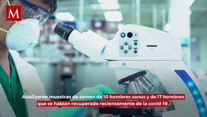 Covid-19 altera niveles de proteínas vinculadas con fertilidad en hombres: estudio