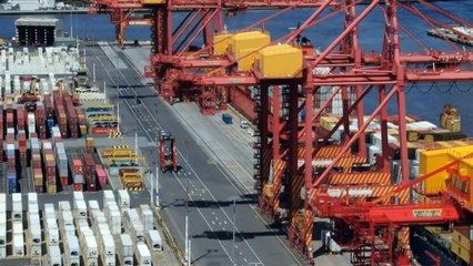 Shellfish reefs brought new life by restoration project