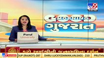 Gujarat HC quashes PIL challenging stray cattle control bill _Ahmedabad _TV9GujaratiNews