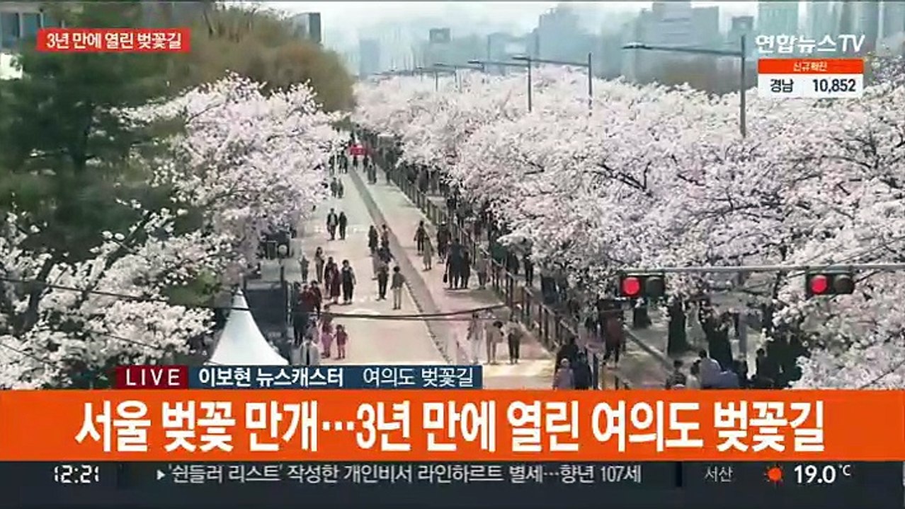 "벚꽃 보러가자"…3년 만에 여의도 벚꽃길 개방