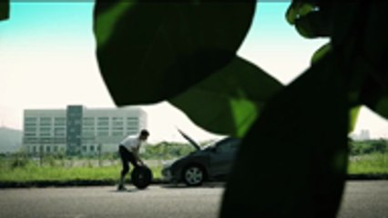 Sunsweet Prunes Bundle Sets Twin Set chef wan