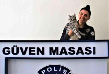 Son dakika haberi: Polisin şefkati, kaza geçiren kediyi yaşama bağladı