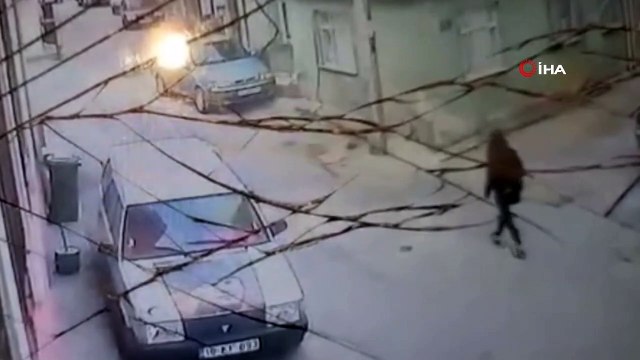 Görüntülerden sonra köpek sevgisini hala savunanlar olacak mı? Köpek genç kıza kabusu yaşattı